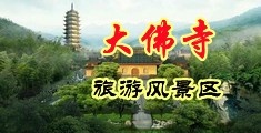 欧美亚洲破处扒开特写谢中国浙江-新昌大佛寺旅游风景区